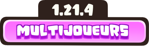 multijoueurs